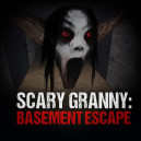 Scary Granny: Basement Escape