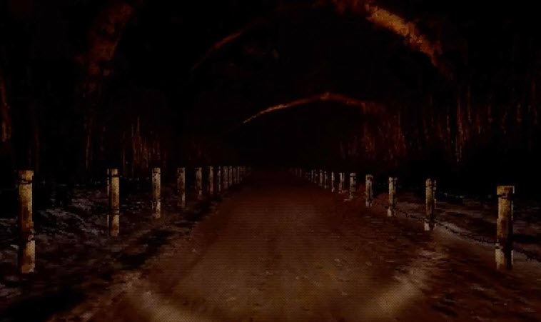 A Long Way Home Screenshot